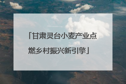 甘肃灵台小麦产业点燃乡村振兴新引擎